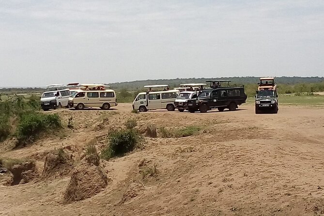 From Nairobi: 3 Days 2 Nights Masai Mara Group Joining Safari - Cancellation Policy