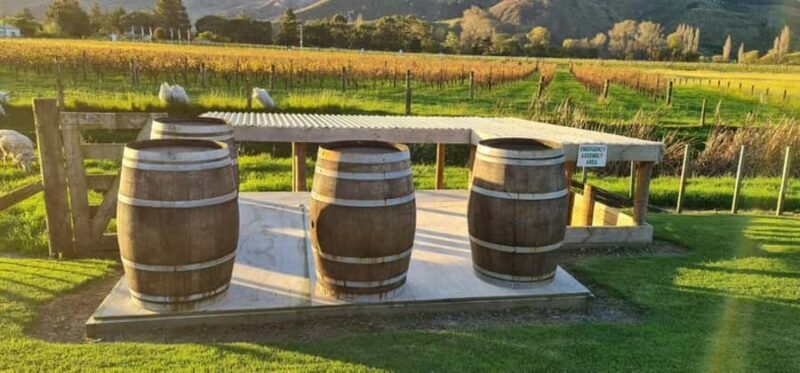From Napier: Hawke's Bay Small Group Wine Capita Tour - Who Should Consider This Tour?