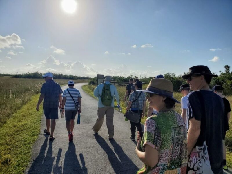 From Naples: 10,000 Islands Boat Trip and Everglades Walk - Participant Feedback