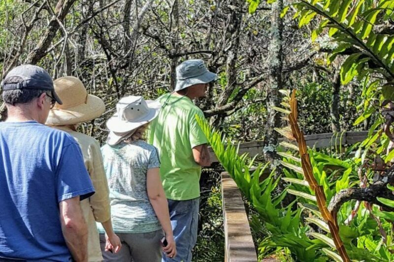 From Naples: 10,000 Islands Boat Trip & Everglades Walk! - A Detailed Look at the Tour Experience