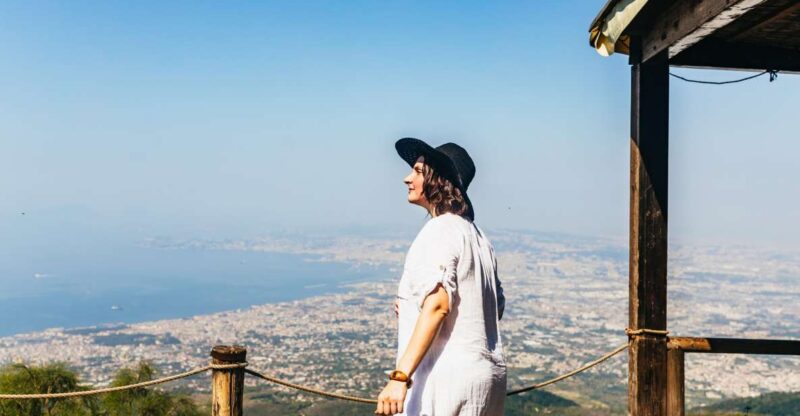 From Naples: All-Inclusive Mount Vesuvius Half-Day Tour - Experience Highlights