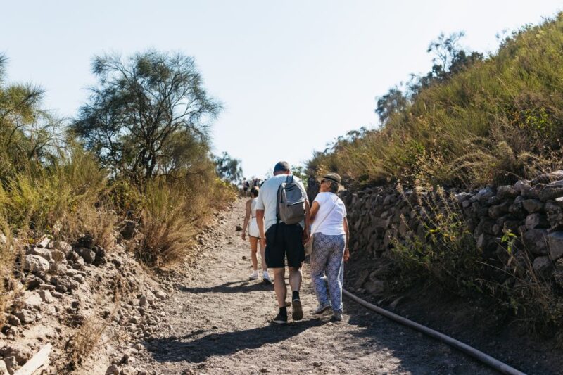 From Naples: All-Inclusive Mount Vesuvius Half-Day Tour - Customer Reviews