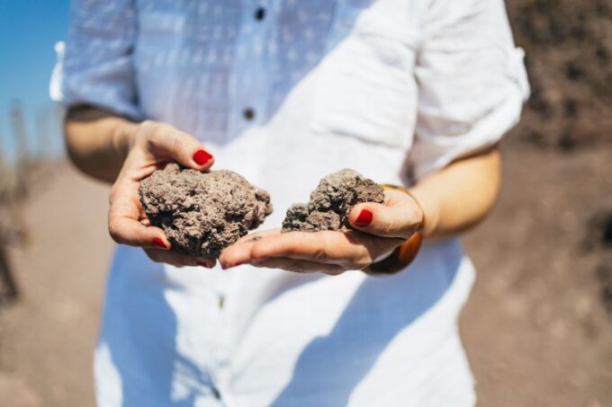 From Naples: All-Inclusive Mount Vesuvius Half-Day Tour - Cancellation Policy