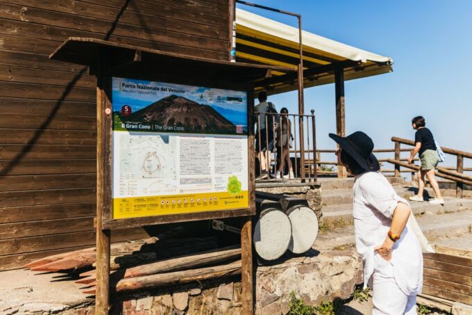 From Naples: All-Inclusive Mount Vesuvius Half-Day Tour - Recap