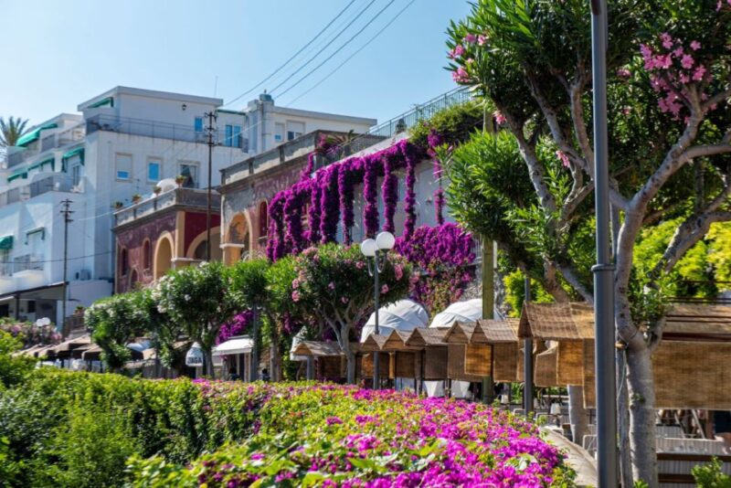 From Naples: Capri, Anacapri, and Blue Grotto Full-Day Trip - Frequently Asked Questions