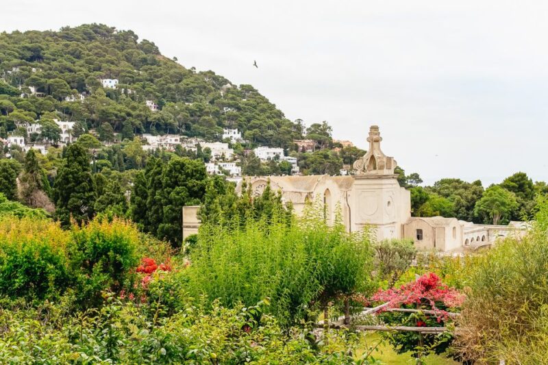 From Naples: Capri and Blue Grotto Day Tour - Important Information