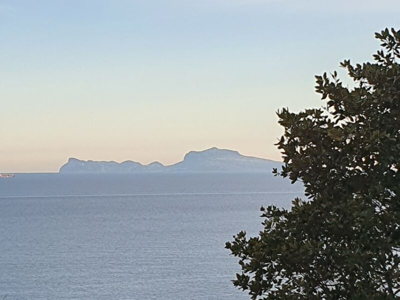 From Naples: Capri Day Trip With Lunch - Key Points