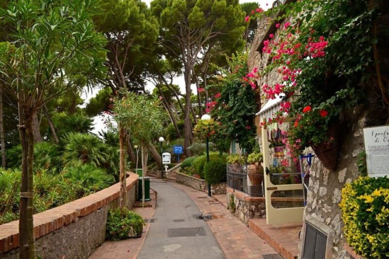 From Naples : Day Trip to Capri Island With Typical Lunch - Transportation and Meeting Point