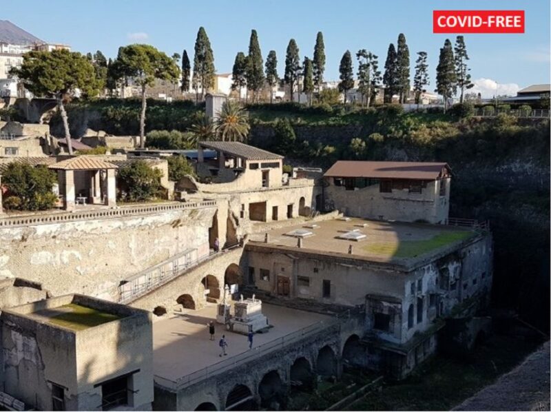 From Naples: Day Trip to Herculaneum With Skip the Line - Key Points