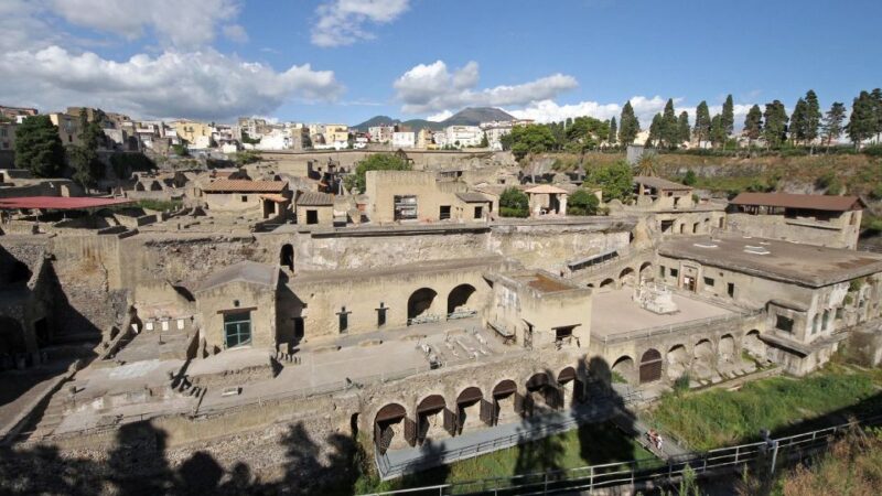 From Naples: Day Trip to Herculaneum With Skip the Line - Customer Feedback and Ratings