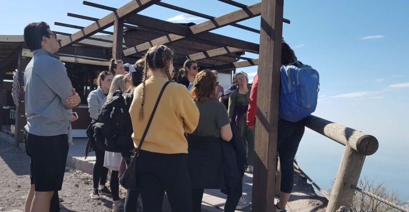 From Naples: Day Trip to Mount Vesuvius With Alpine Guide - Key Points