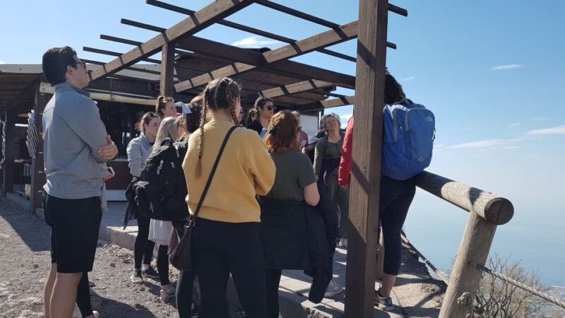 From Naples: Day Trip to Mount Vesuvius With Alpine Guide - Itinerary and Experience