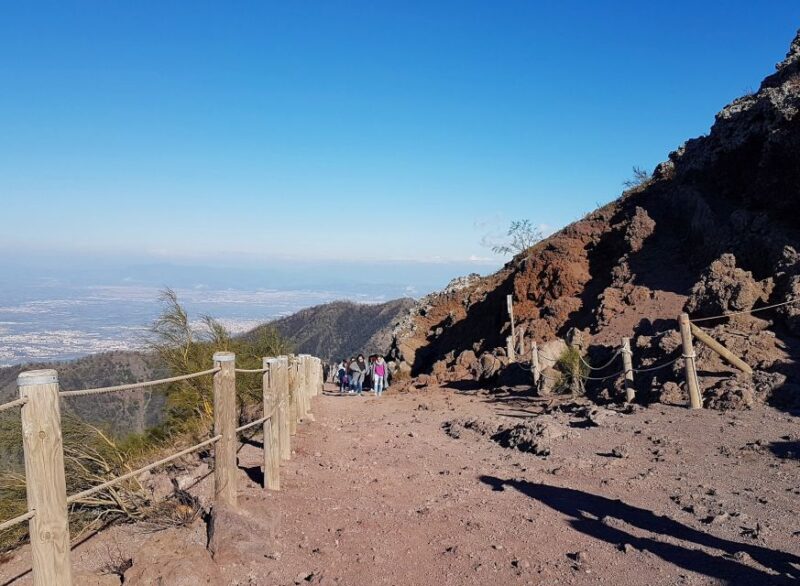 From Naples: Day Trip to Mount Vesuvius With Alpine Guide - Included Services