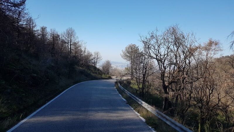 From Naples: Day Trip to Mount Vesuvius With Alpine Guide - Important Information