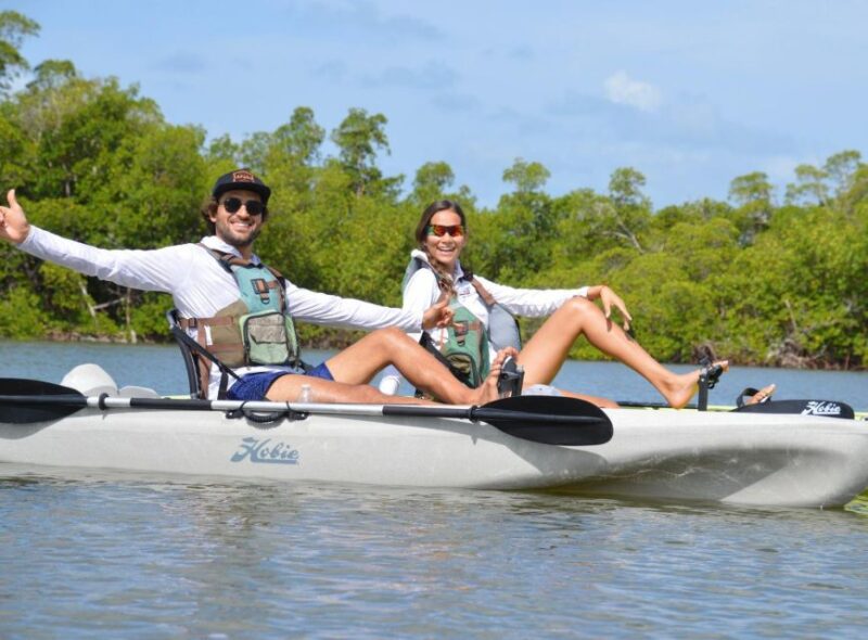 From Naples, FL: Marco Island Mangroves Kayak or Paddle Tour - Experience Highlights