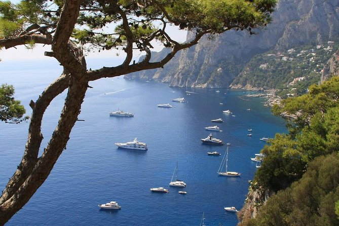 From Naples: Full-Day Capri Island and Blue Grotto Tour - Group Coordination and Meeting Point