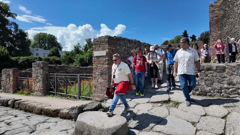 From Naples: Guided Walking Tour of Pompeii With Entrance Ticket and Train - Tour Overview and Pricing