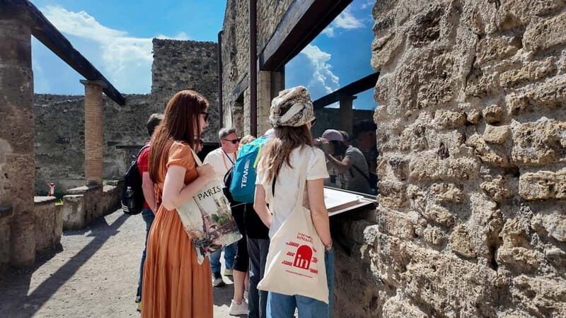 From Naples: Guided Walking Tour of Pompeii With Entrance Ticket and Train - What to Expect on the Tour