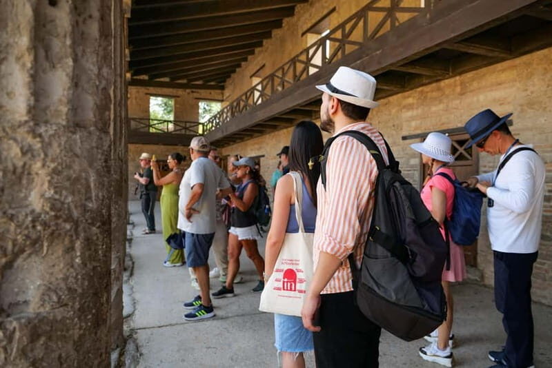 From Naples: Guided Walking Tour of Pompeii With Entrance Ticket and Train - Since Your Asked
