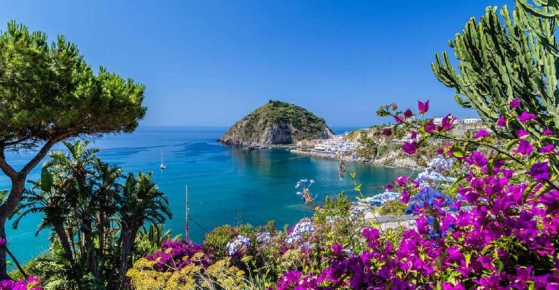 From Naples: Ischia Day Trip With Ferry Tickets and Lunch - Included Services