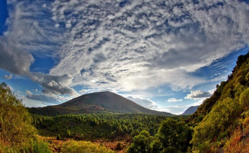 From Naples: Mount Vesuvius Half-Day Tour With Lunch - What to Bring and Customer Reviews
