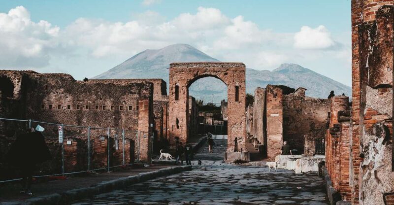 From Naples: Pompeii and Herculaneum Tour With Lunch - Inclusions