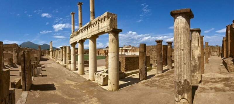 From Naples: Pompeii and Vesuvius Guided Day Trip With Lunch - Inclusions and Fees
