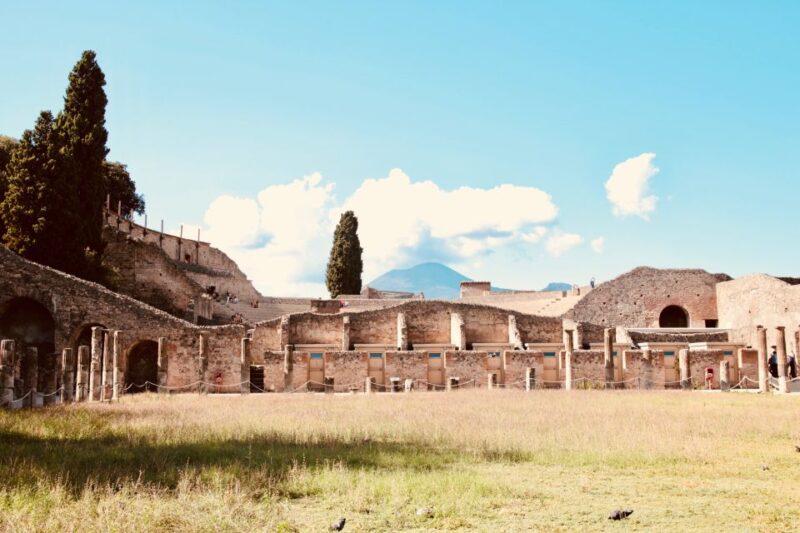 From Naples: Pompeii and Vesuvius Guided Day Trip With Lunch - Important Tour Details