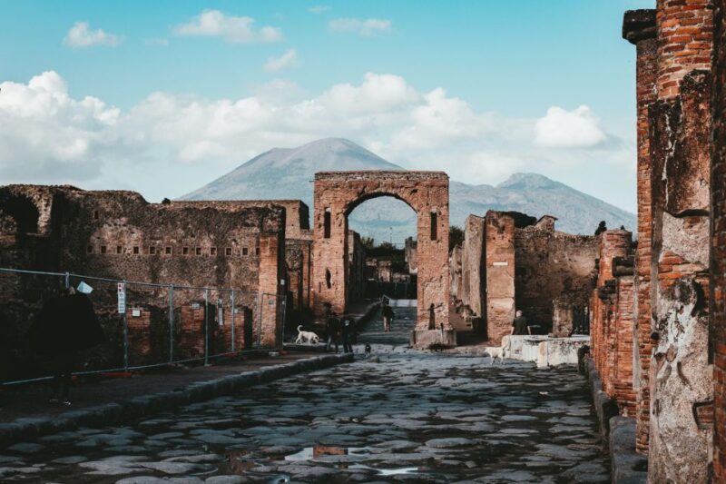 From Naples: Pompeii and Vesuvius Tour With Lunch - Pompeii Visit