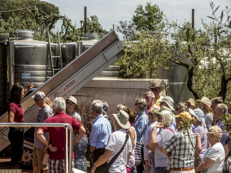 From Naples: Pompeii and Wine Tasting Tour With Lunch - Key Points