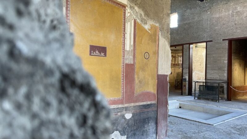 From Naples: Pompeii Guided Tour With Skip-The-Line Tickets - Experience and Highlights