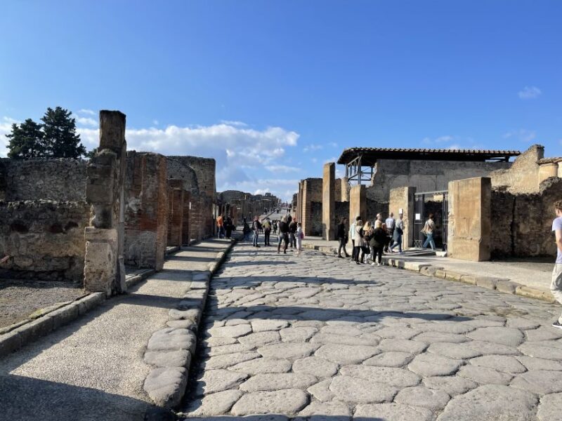 From Naples: Pompeii Guided Tour With Skip-The-Line Tickets - Transportation and Logistics
