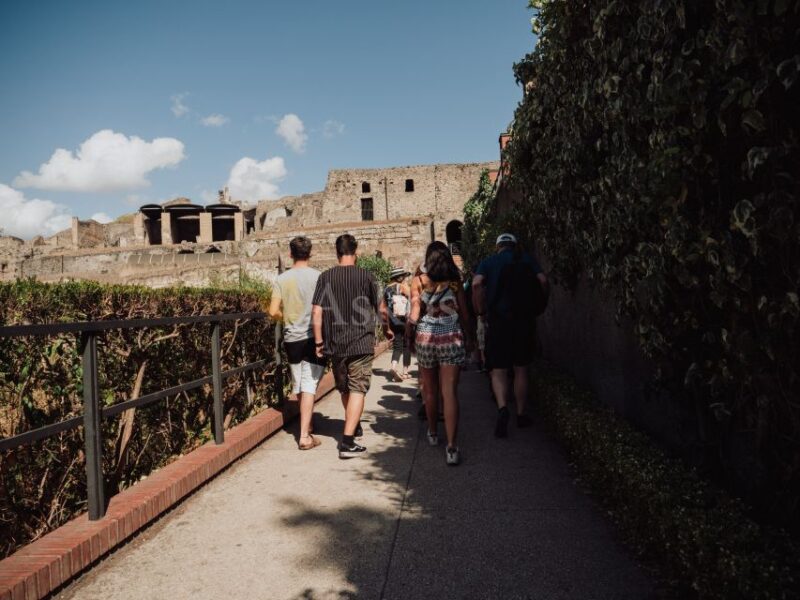 From Naples: Pompeii & Herculaneum With Archaeologist Guide - Key Points