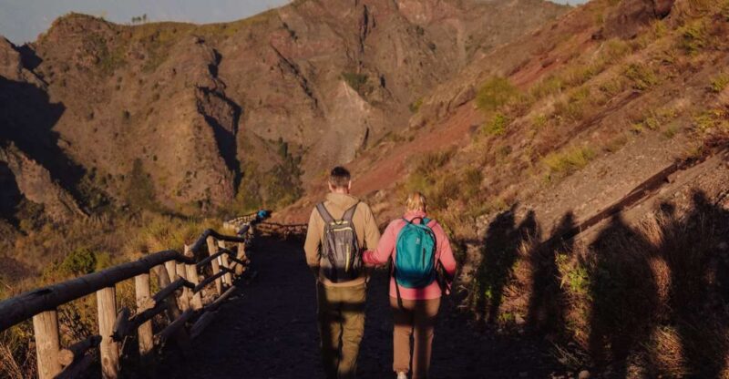 From Naples: Pompeii & Mount Vesuvius Full-Day Private Tour - Key Points