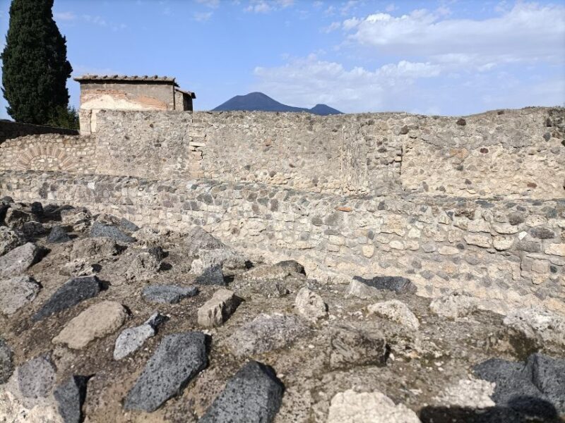 From Naples: Pompeii & Peastum Guided Tours - Itinerary Details