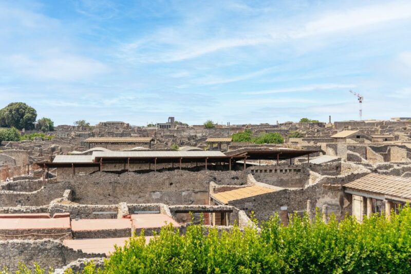 From Naples: Pompeii Ruins & Mount Vesuvius Day Tour - Cancellation Policy