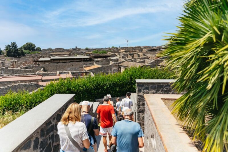 From Naples: Pompeii Ruins & Mount Vesuvius Day Tour - Pickup Options