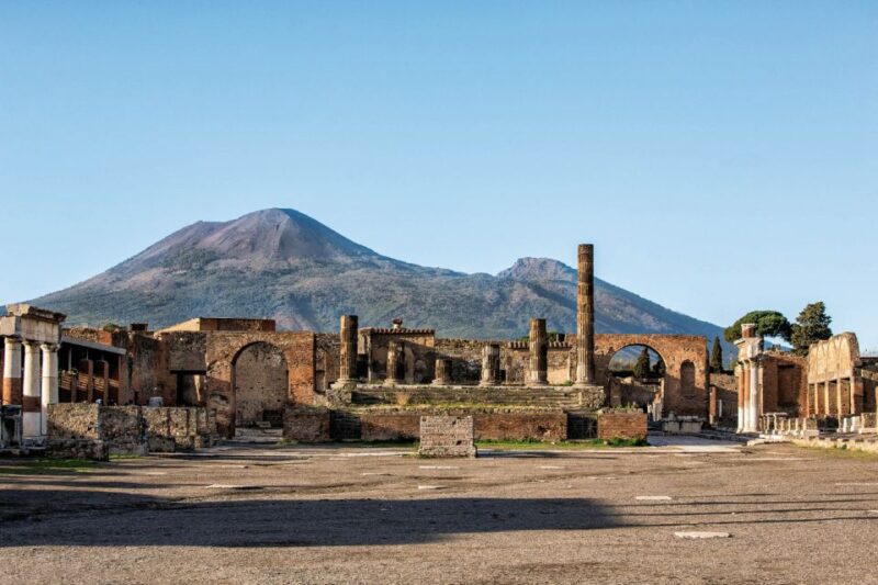 From Naples: Private Herculaneum and Pompeii Return Transfer - Experience Highlights