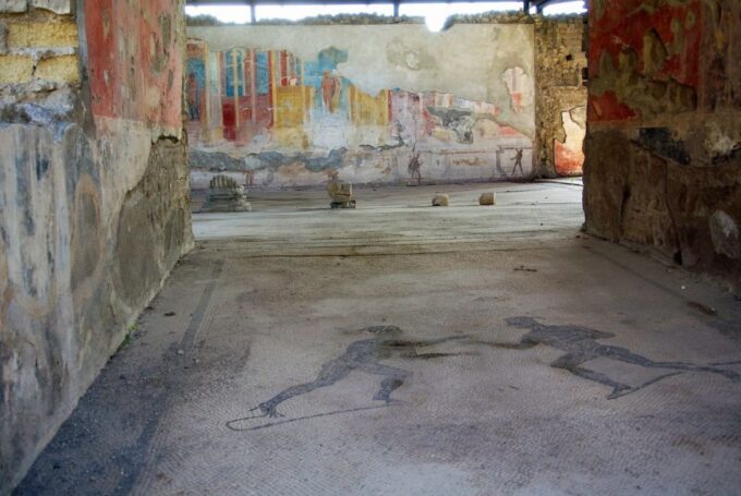 From Naples: Private Tour to Pompeii, Sorrento, and Positano - Tour Inclusions