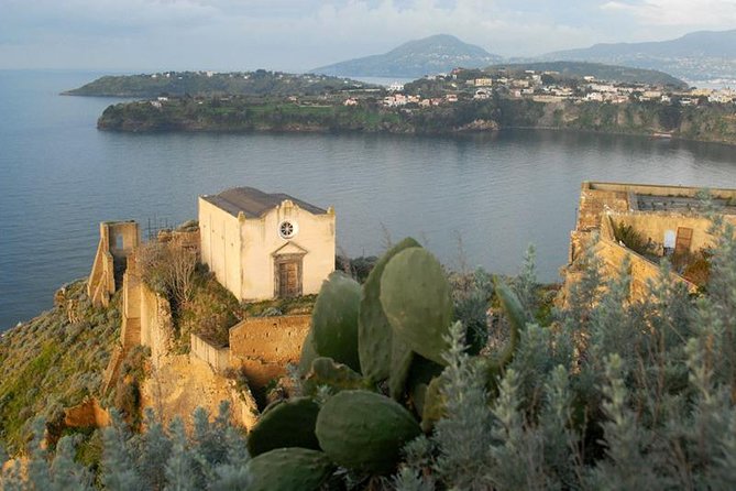 From Naples: Procida Island Day Trip With Lunch - Transportation and Duration