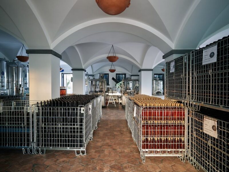 From Naples: Wine Tasting Tour on Vesuvius Slopes With Lunch - Itinerary and Experience