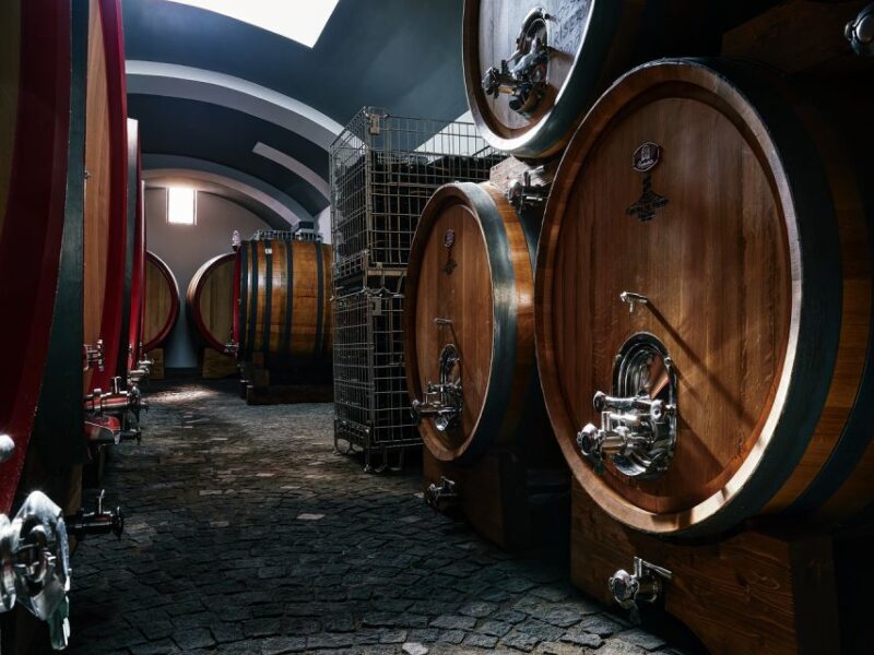 From Naples: Wine Tasting Tour on Vesuvius Slopes With Lunch - Highlights