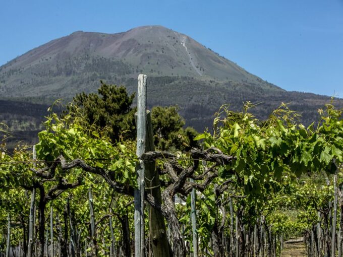 From Naples: Wine Tasting Tour on Vesuvius Slopes With Lunch - Pickup and Drop-off Locations