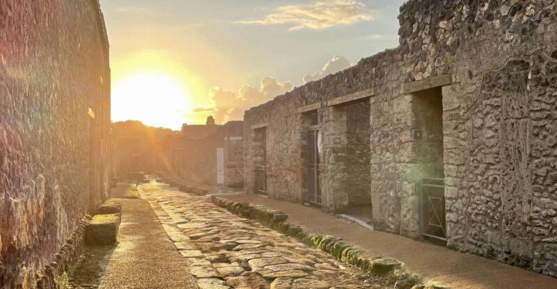 From Napoli: Guided Tour of Pompeii With Driver From Naples - Itinerary and Experience