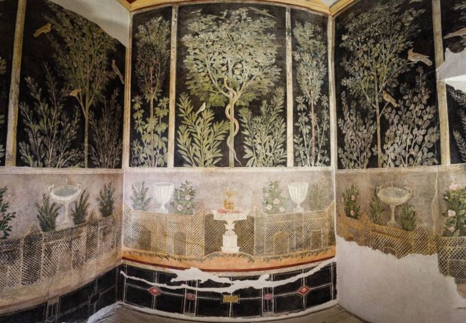 From Napoli: Guided Tour of Pompeii With Driver From Naples - Cancellation and Refund Policy