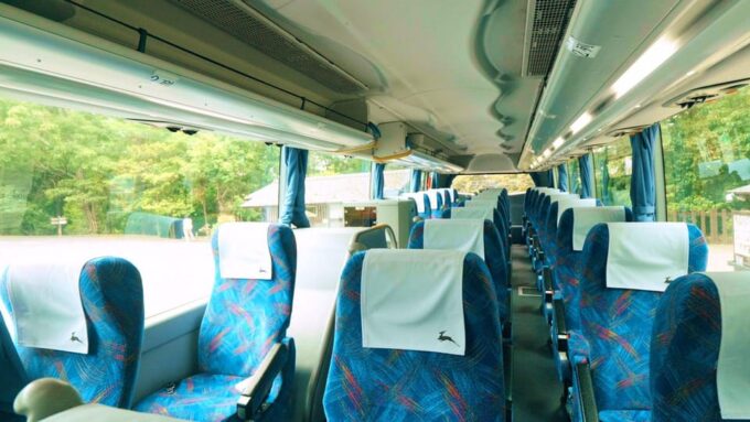 From Nara:Half-Day Bus Tour to UNESCO Heritage&Mt. Wakakusa - Seasonal Variations