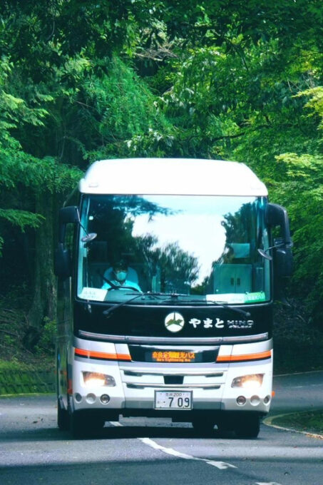 From Nara:Half-Day Bus Tour to UNESCO Heritage&Mt. Wakakusa - Child Policies