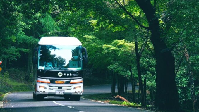 From Nara:Half-Day Bus Tour to UNESCO Heritage&Mt. Wakakusa - Frequently Asked Questions