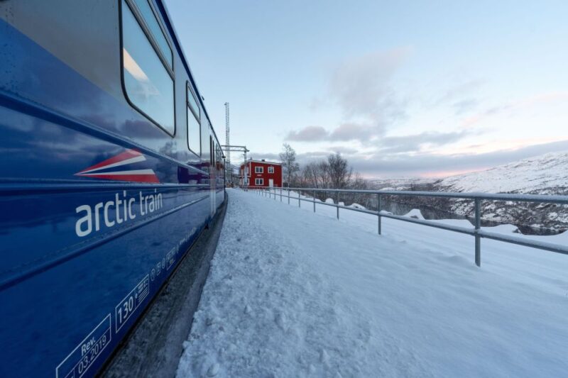 From Narvik: Round-Trip Arctic Train Ride on Ofoten Railway - Pricing and Booking Details