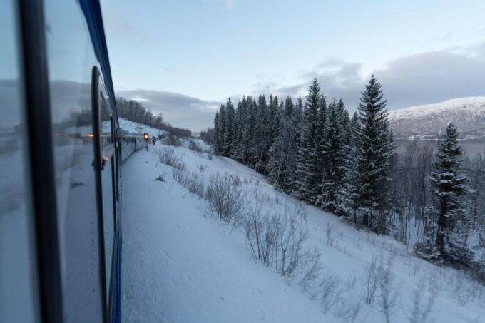 From Narvik: Round-Trip Arctic Train Ride on Ofoten Railway - Meeting Point and Transportation